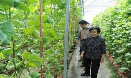 瓜瓜基地 暗黑爆料在线吃,揭秘在线吃播背后的秘密